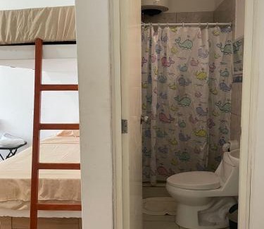 Asia House | Olas inn