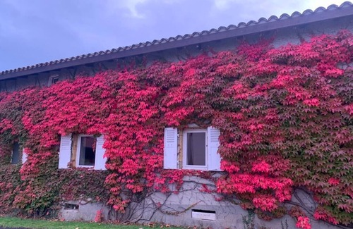Saint-Romain-de-Popey House | Old Beaujolais farmhouse