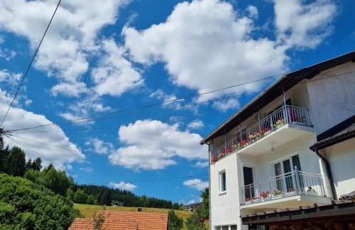 Brdo Apartment | OLD HOUSE LJUJIĆ