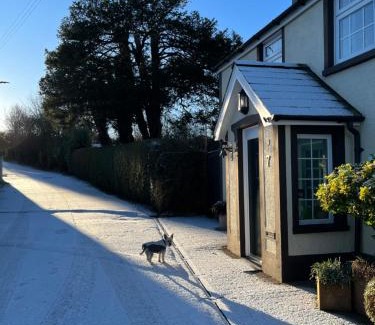 Ballygally Bed & Breakfast | Old Mill House