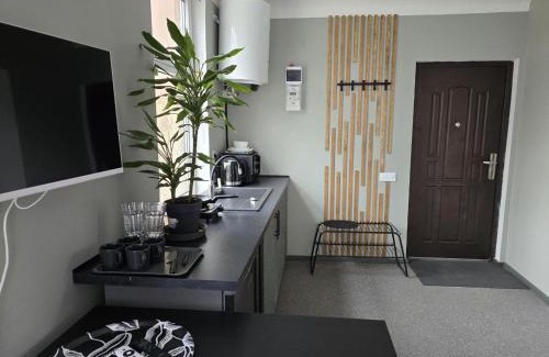 Tornkalns Apartment | Old Riga over the river, Free parking, up to 4ppl. Self Check-inout