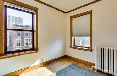 Old Town Triangle Condo | Old town vintage 2 bedroom