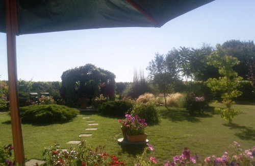 Saint-Romain-de-Benet House | Old, Traditional, Charentaise House, Peaceful Vineyard Location