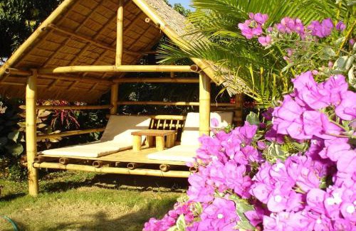 Mae Ai Resort | Old Tree's House