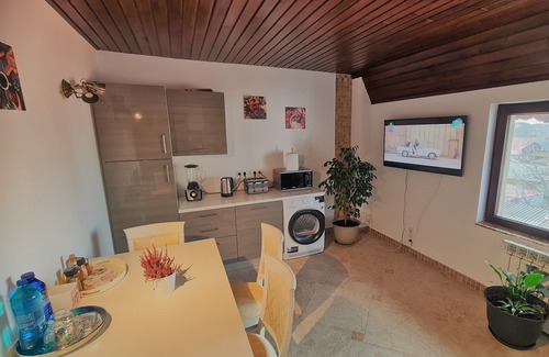 Timisoara House | Ole PENTHHOUSE