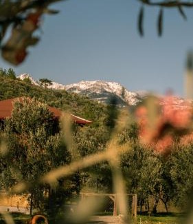 Zeytinli Other | Oli Camping & Bungalows