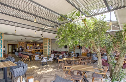Iznik Hotel | Olive Garden Hotel