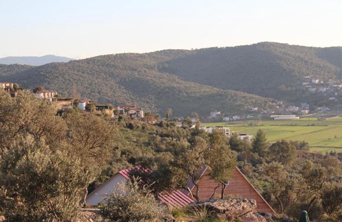 Dorttepe Hotel | Olive Garden Retreat