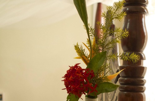 Bugolobi Hotel | Olive Gardens Hotel Kampala