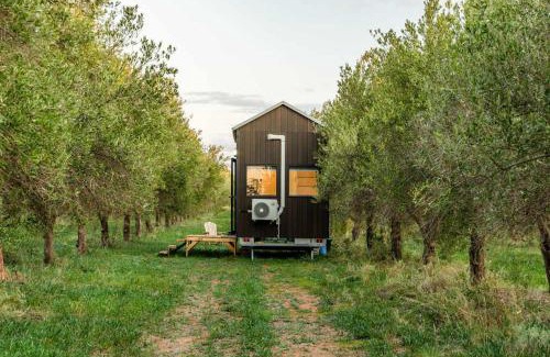 Tresco House | Olive Grove Retreat 2 by Tiny Away