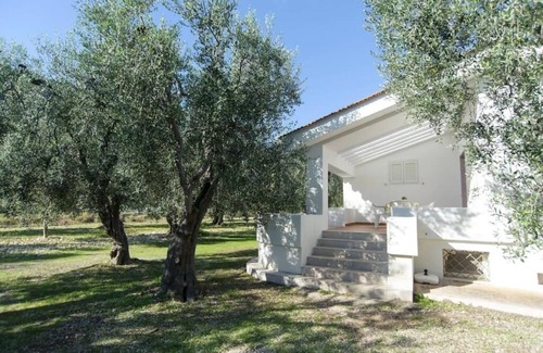Mattinata Villa | Olive & Sea Villa - Olive Charming holiday home near the sea in an olive grove .
