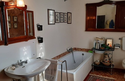 Gropparello Other | Olive trees double room