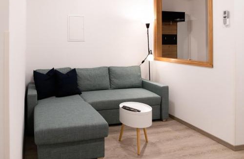 Slap Apartment | Oliver street apartment Vipava - 50m from city center