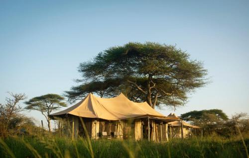Serengeti National Park Other | Olmara Camp