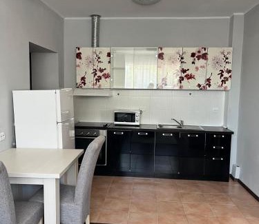 Chisineu-Cris Apartment | Olympia Residence