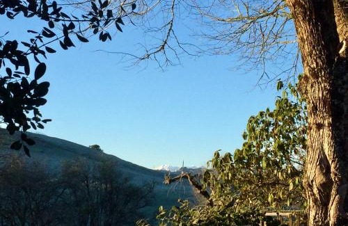 Taumarunui Bed & Breakfast | Omaka Lodge