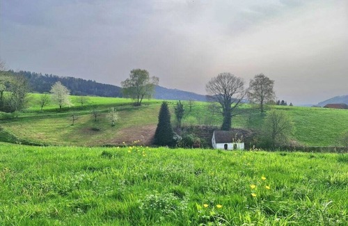 Waldkirch House | on the avenue Comfortable holiday residence