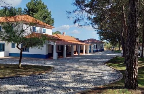 Alcacer do Sal Apartment | One-Bedroom Apartment