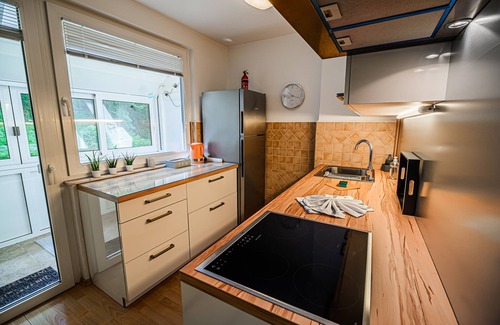 Kranjska Gora Apartment | One-Bedroom Apartment Marni