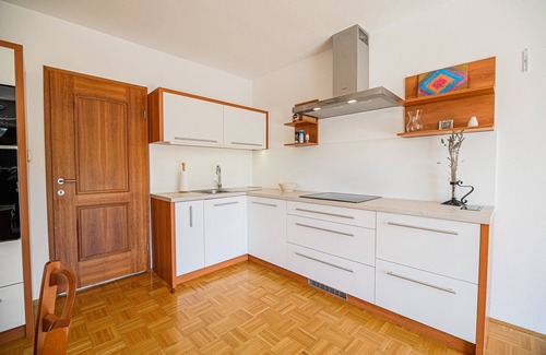 Podcetrtek Apartment | One bedroom apartment with terrace