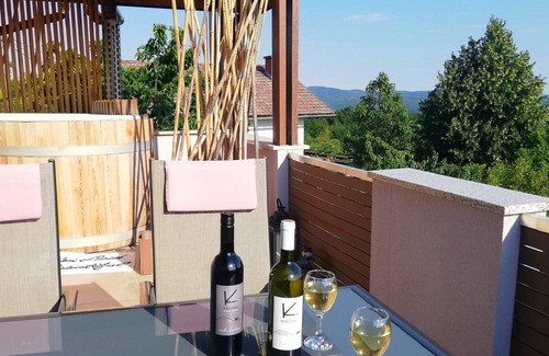 Metlika Apartment | One Bedroom Apartment