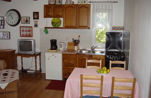 Suha Punta Apartment | One bedroom apartment with terrace Kampor, Rab (A-5014-b)