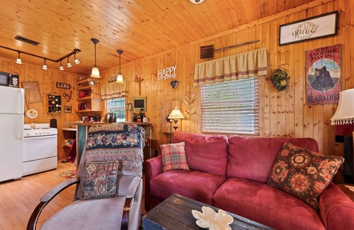 Asheville Cabin | One Bedroom Cabin 43 Acre Retreat Pets OK-Fenced, Private, Views, Internet