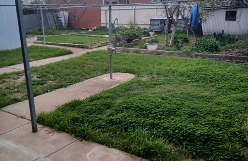 Norwood House | One room,$190+bills,Single Girl,3bed room set,Indian ofamily living,