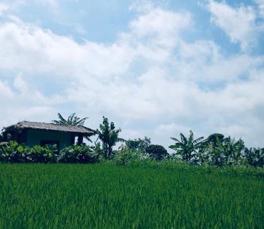 Kecamatan Pringgasela House | Opik Homestay Tete Batu