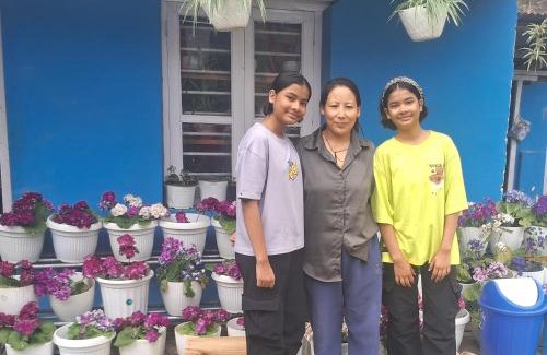 Dirang House | Orchid Valley Homestay