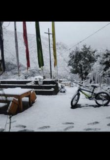 Dirang House | Orchid Valley Homestay