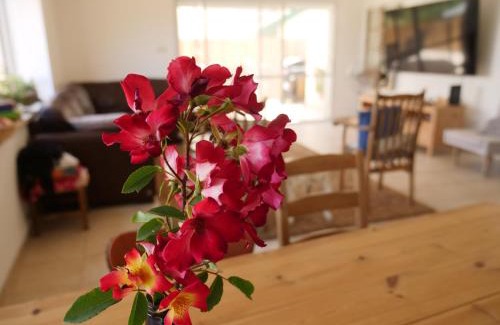 Kfar Vradim Villa | Oren's place - perfect for families & friend's