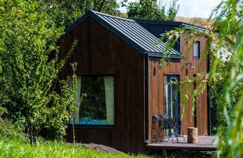 Sincraieni House | Organicle Lodge