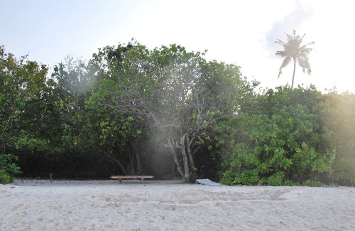 Himandhoo House | Origami Inn experience Maldives like a local.