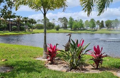 St. Cloud Villa | Orlando Disneyland