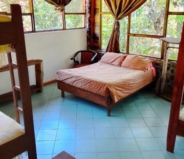 Ecuadorian Amazon Cabin | Oro y Luna Lodge
