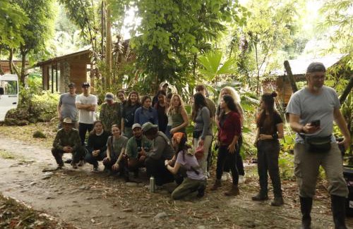 Ecuadorian Amazon Cabin | Oro y Luna Lodge