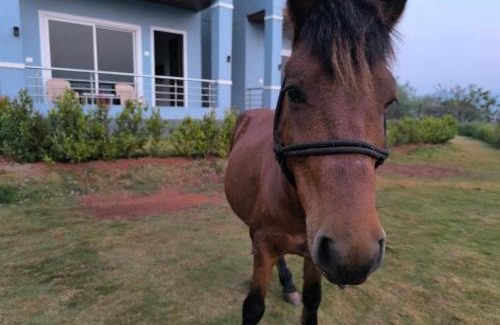 Bhor Resort | Orraica Stays Blue Lagoon