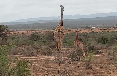 Sundays River Valley House | Osberg Safari's