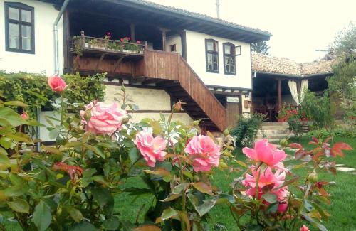 Osmar House | Osmarski Houses