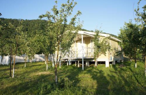 Gabala Apartment | Our Garden