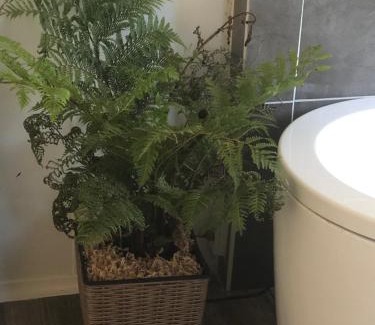 Beechina House | Our Little Hideaway Beechina