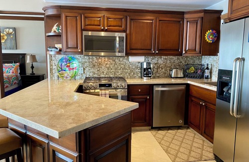 San Jose del Cabo Condo | 'OUR PALAPA' TRANQUILITY AWAITS - UPDATED AND REMODELED