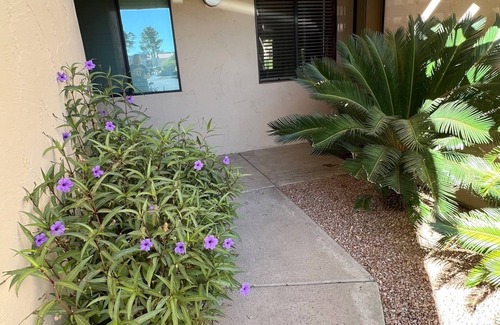 Central Scottsdale Condo | Outstanding, updated First Floor 2B Condo Backing Up To Green Belt