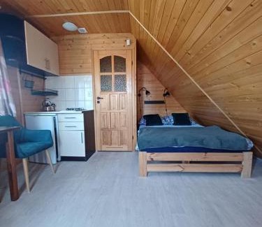 Darlowo Apartment | OW HOLIDAY Wicie