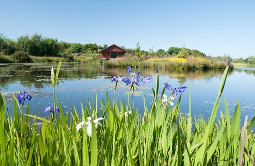 Llanerchymedd House | Owl Cottage - Two Bedroom House, Sleeps 4