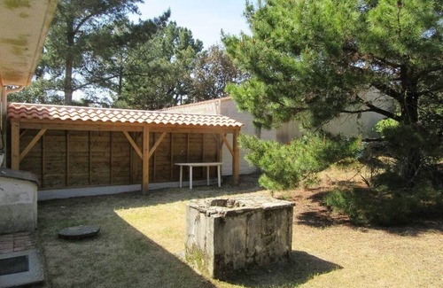 Travo House | Pétrouchka dans les pins - Saint Hilaire de Riez