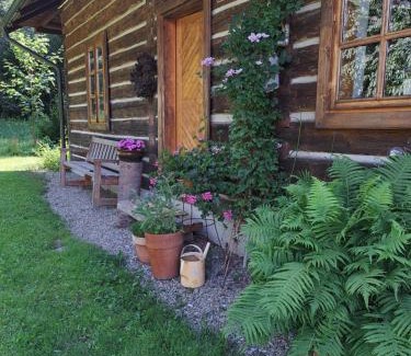 Dukla House | Pałacówka