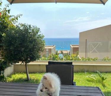 Jala Villa | Pacific 2 Bedroom Villa Palase