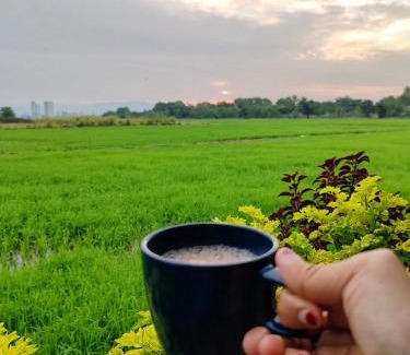 Central Seberang Perai Villa | Paddy Villea with 5 Bedrooms Penang